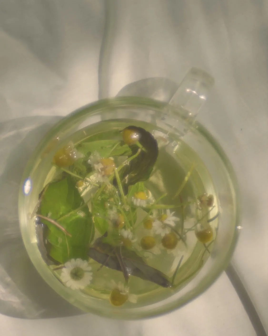 Glass cup of chamomile tea with fresh herbs on white linen, for the Botica Massage in Playa del Carmen